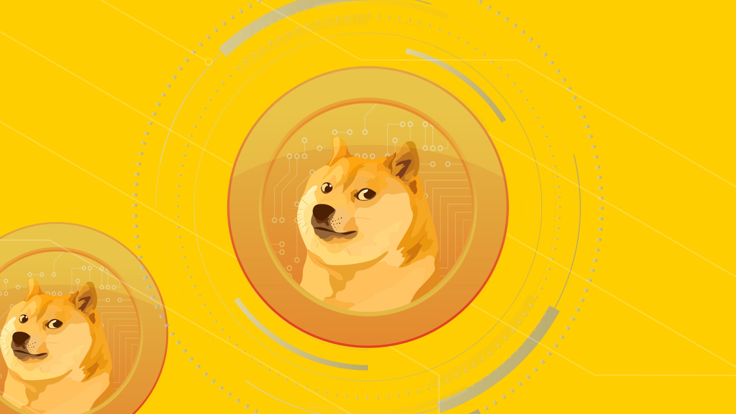 Doge Coin BoundlessPay